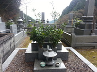 20151231_104844