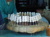DSCN0560