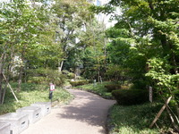 20151030_112051