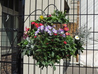 DSCN0174