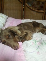 2011073122550000