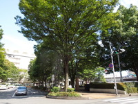 DSCN0097
