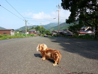 20160626_075151