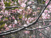 DSCN0507