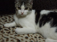 DSCN1410