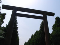 RIMG0261