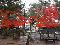 20141125_085642