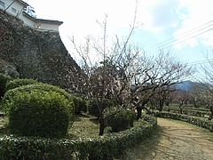 RIMG0092