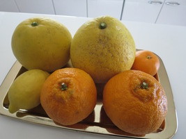 IMG_0833