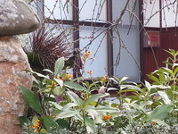 20150227_165732