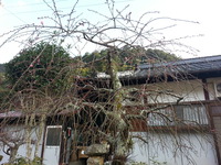 20150227_165703