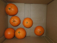 DSCN4274