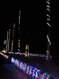 20151229_181126