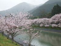 DSCF1075