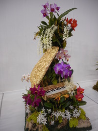 DSCN0421