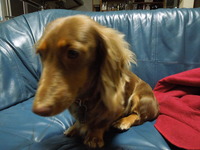DSCN1161