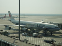 DSCN6602