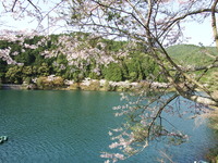 DSCF1244