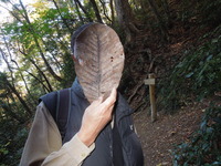 DSCN0716