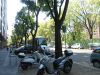 DSCN1108