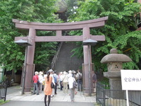 DSCN0549