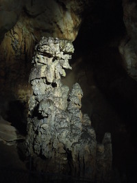 DSCN5741