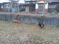 20160120_171953