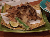 DSCN3670