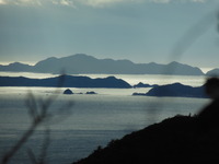 DSCN2084