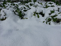 20170210_100832