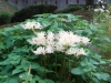 RIMG0256