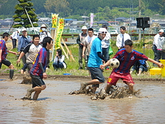 IMGP2387