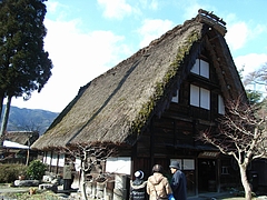 RIMG0758