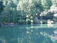 RIMG0084
