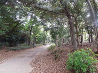 DSCN8639