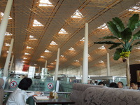 DSCN6203