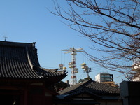DSCN3460
