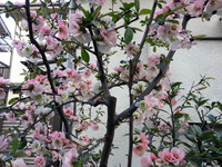 20150324_160455