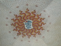 DSCN6527