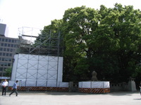 RIMG0278