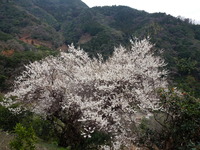 DSCN0038