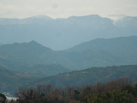 DSCN0037