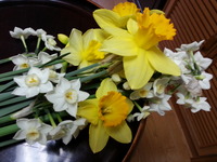 20160318_072052