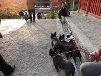 20141124_154204