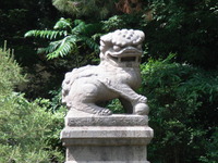 RIMG0267