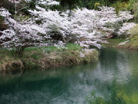 DSCF1397