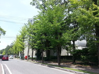 20170716_133021