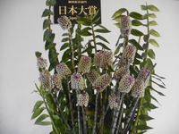 DSCN0400