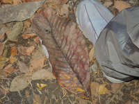 DSCN0714