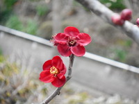 DSCN0535